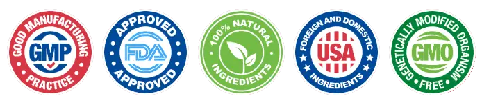 Certification Badges